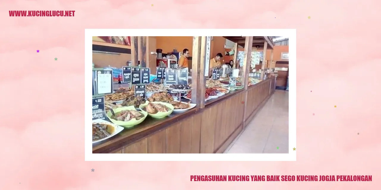 Kucing yang bahagia