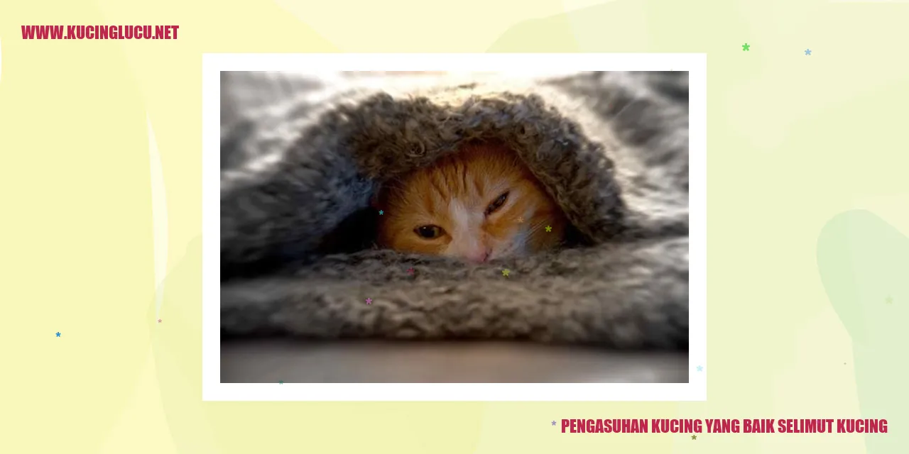 Kucing yang diselimuti