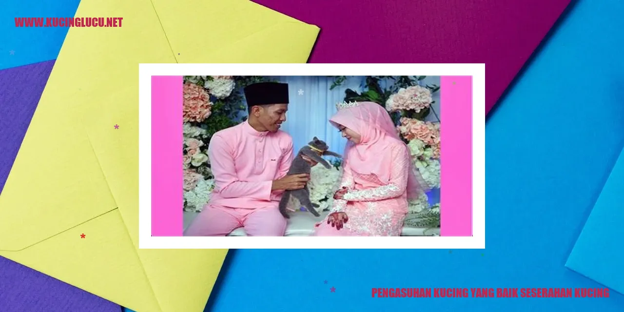 Gambar Kucing