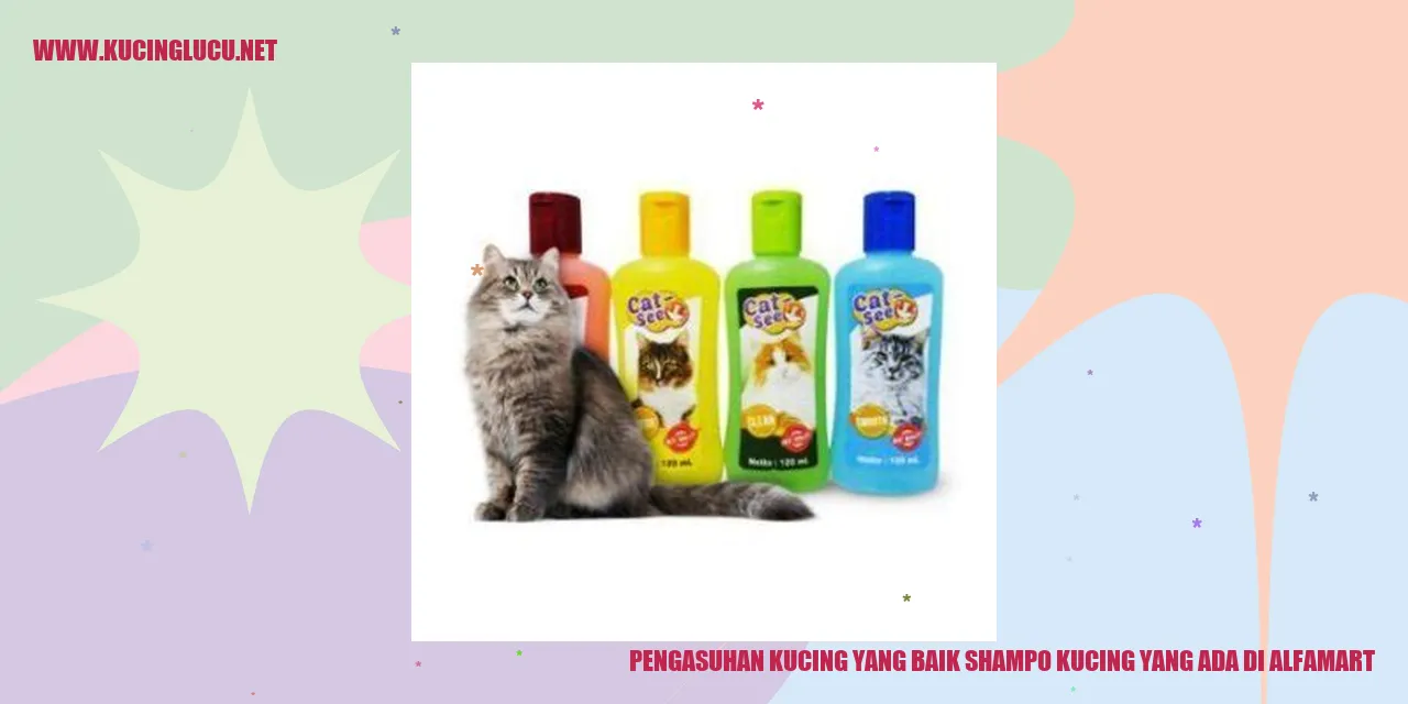 Gambar Kucing yang Sedang Dimandikan
