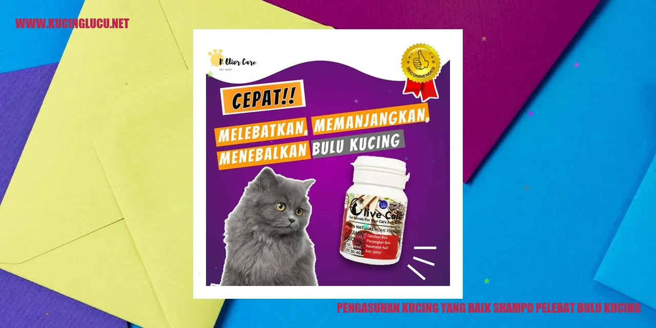 Foto Kucing Lucu