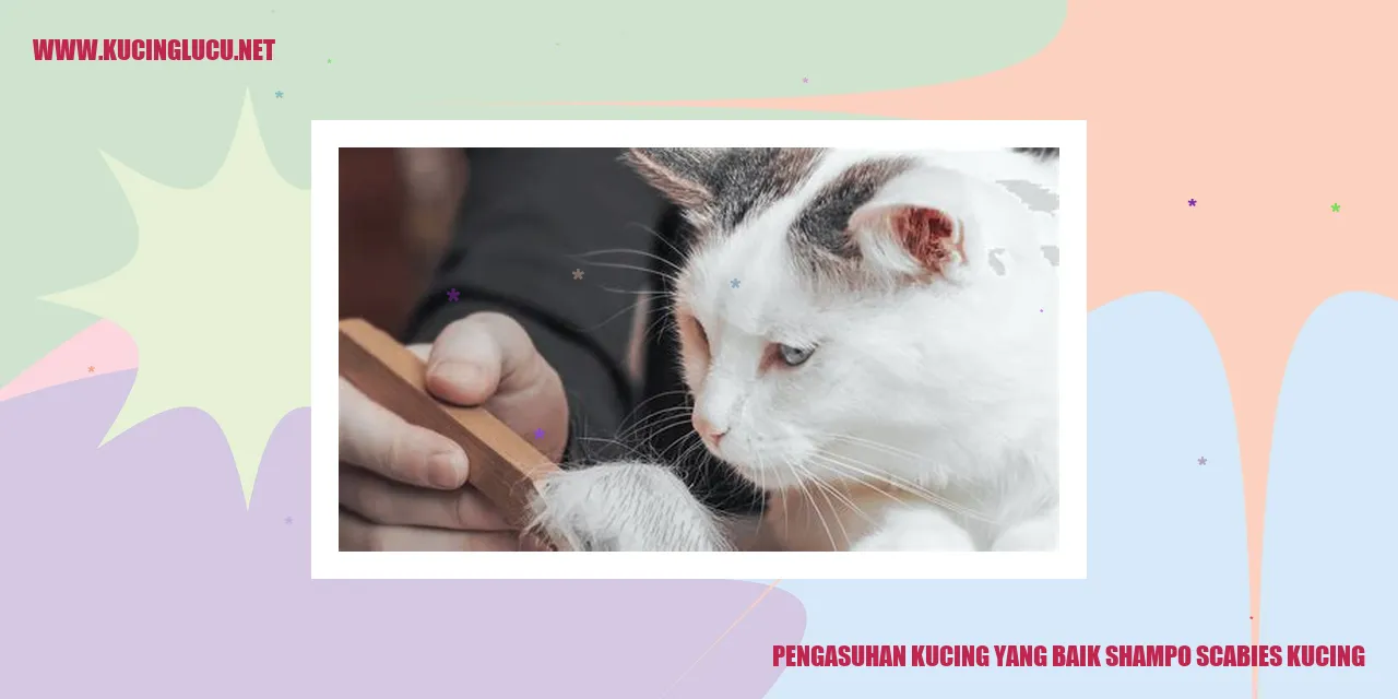 Kucing yang Sehat dan Bersih