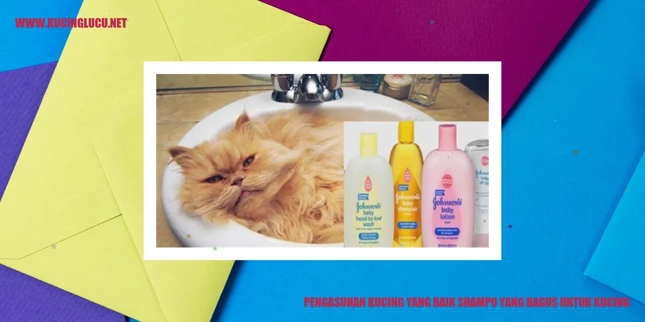 Kucing Sehat dan Bersih