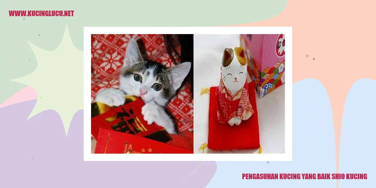 Kucing Shio