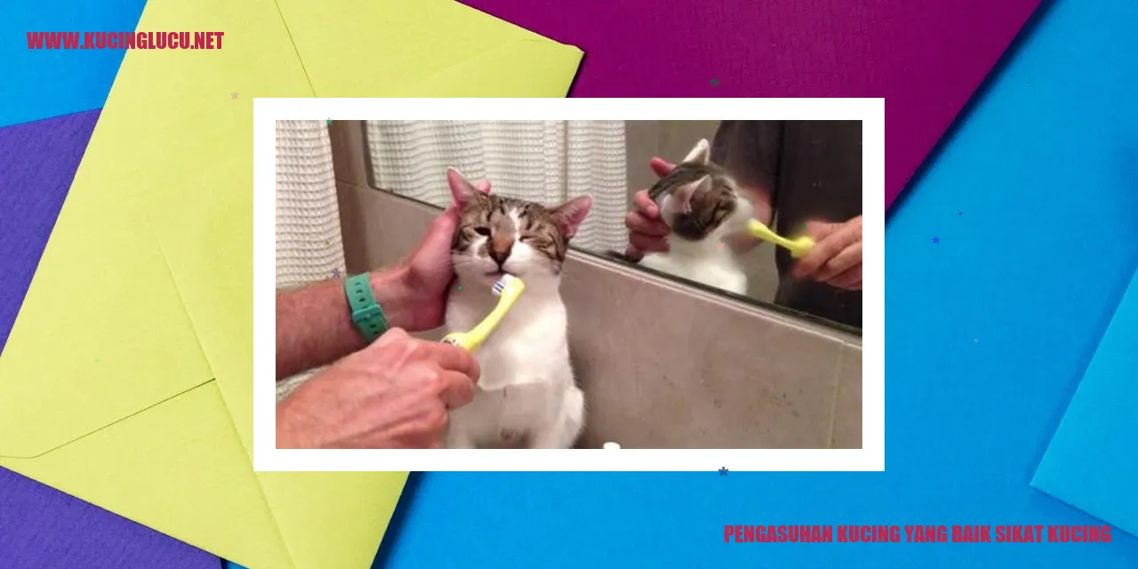 kucing yang terawat dengan baik setelah disikat