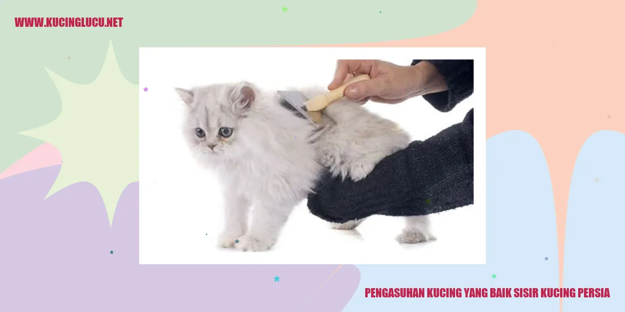 kucing persia