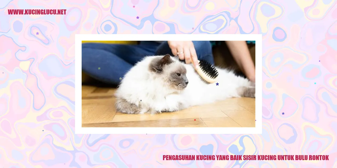 Kucing dengan bulu rontok