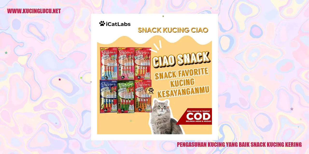 Kucing dengan snack kucing kering
