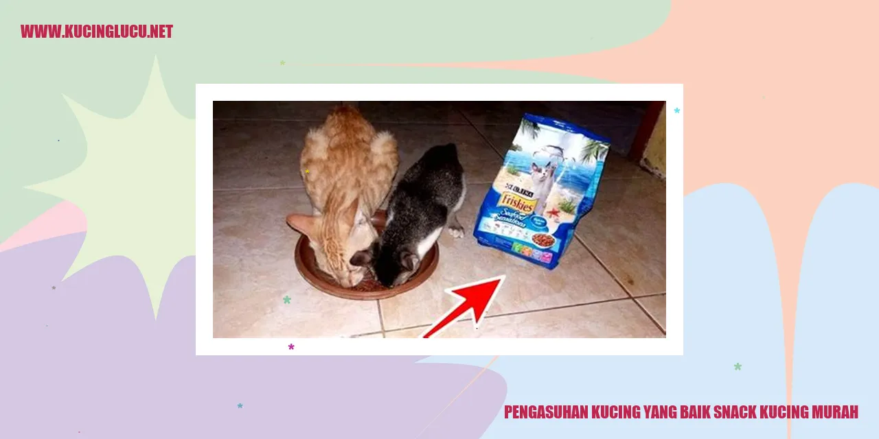 Gambar kucing yang sehat dan bahagia