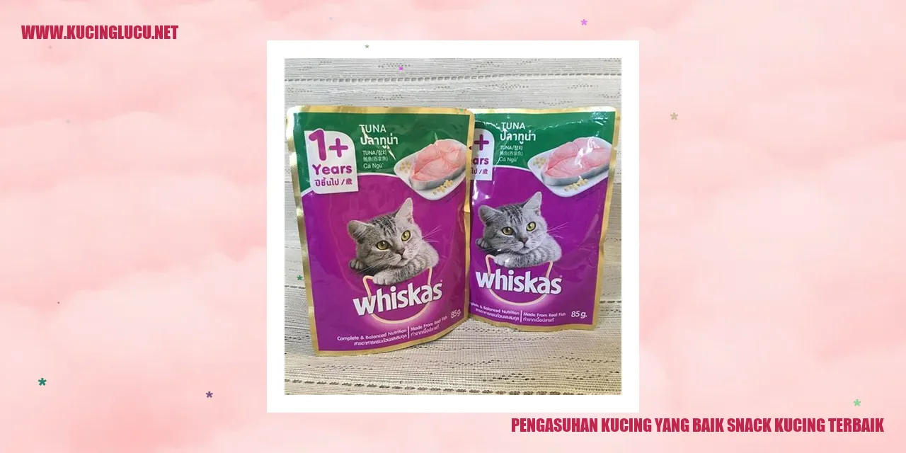 Gambar Kucing Sehat dan Bahagia