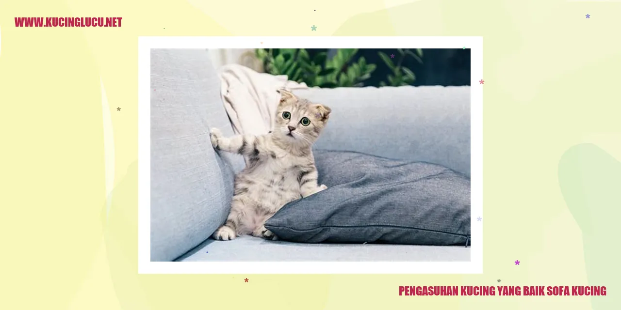 Gambar kucing di sofa