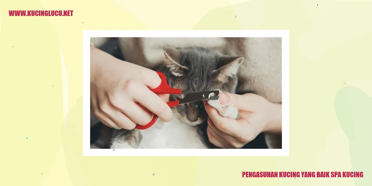 Kucing yang Bahagia dan Sehat