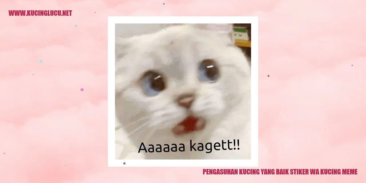 Stiker WhatsApp kucing meme