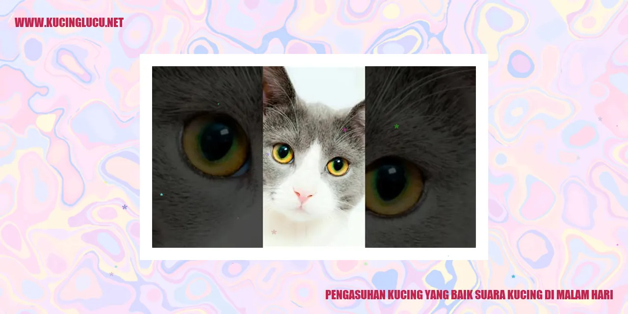 Gambar Kucing