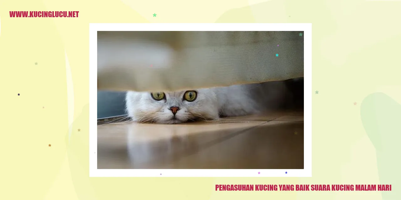 Kucing Malam Hari