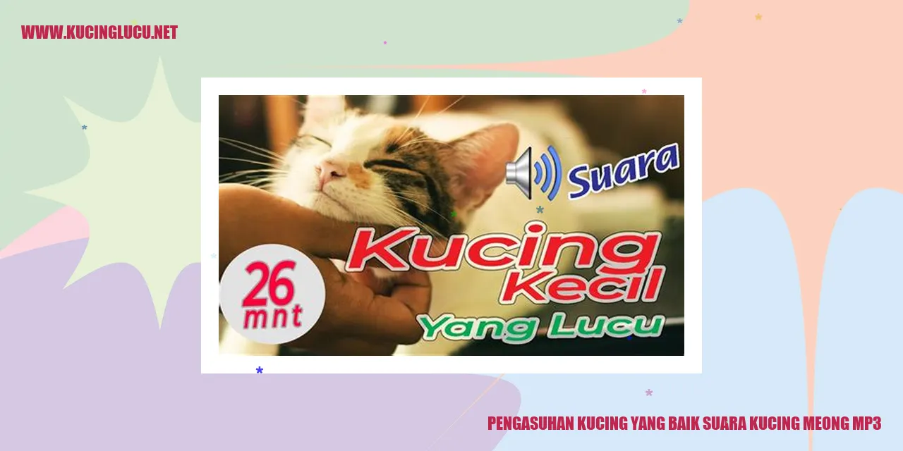 Gambar Kucing
