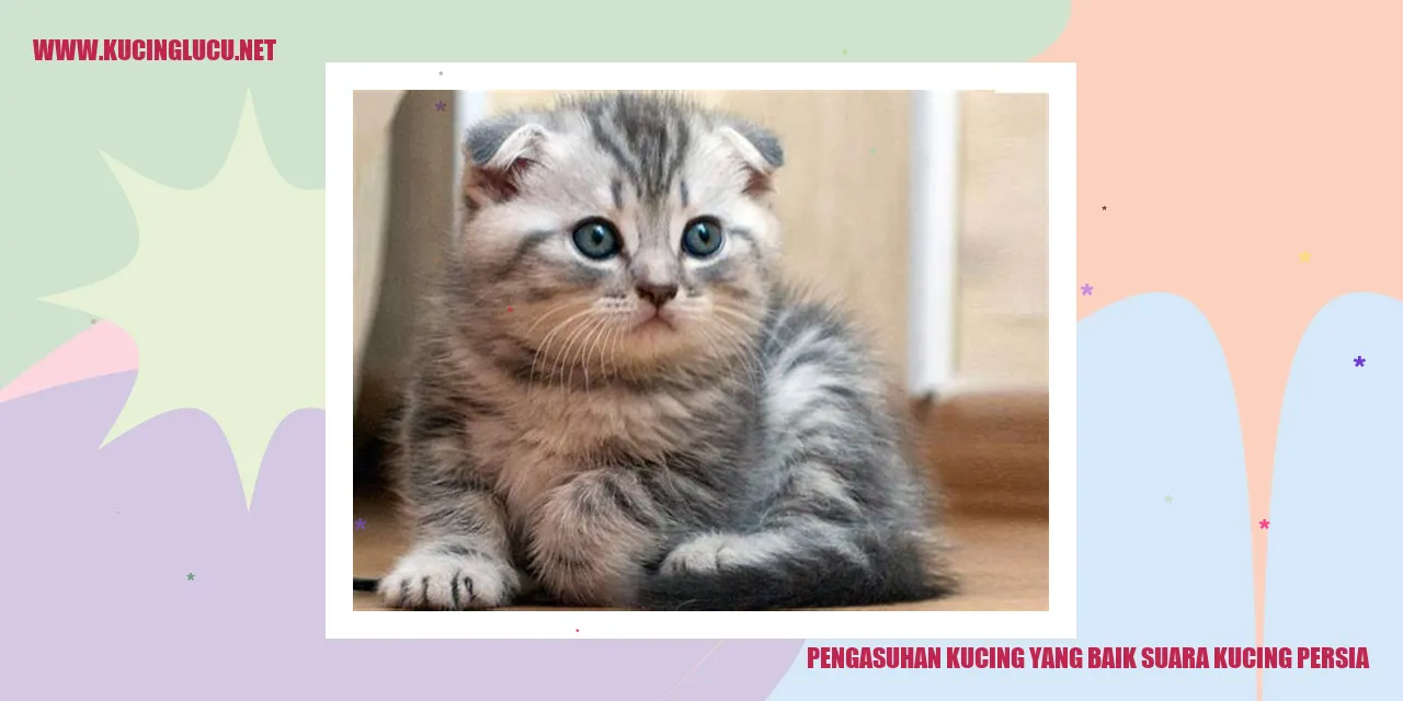 Gambar Kucing Persia yang Cantik