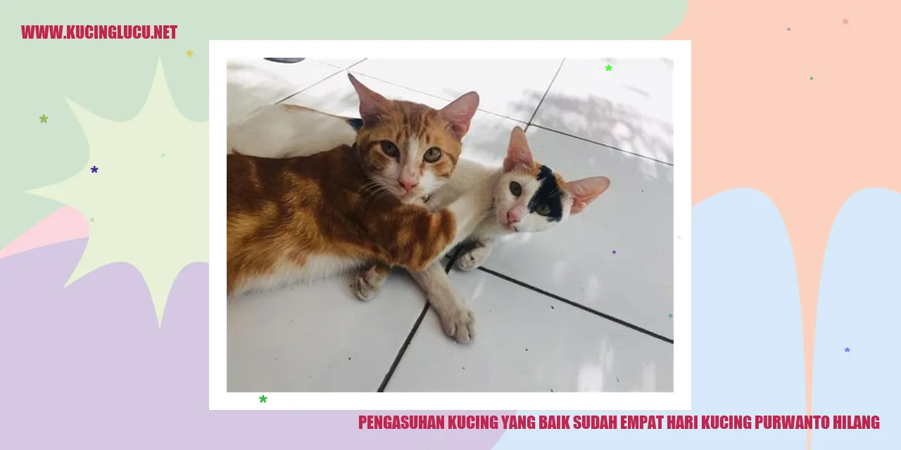 Kucing yang Hilang
