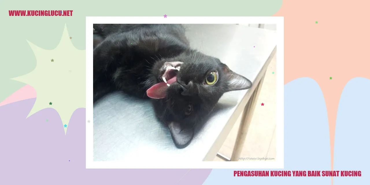 Kucing yang Sehat