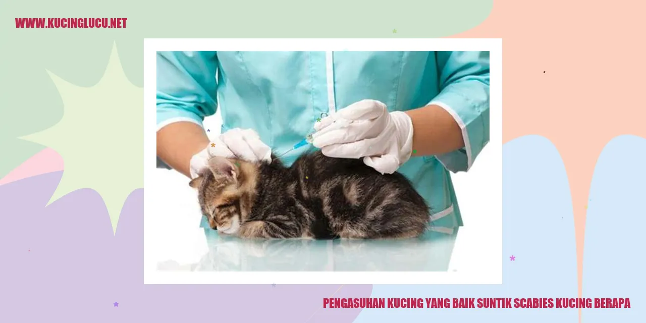 Panduan Mengasuh Kucing dengan Baik: Terapi Suntik untuk Mengatasi Scabies pada Kucing