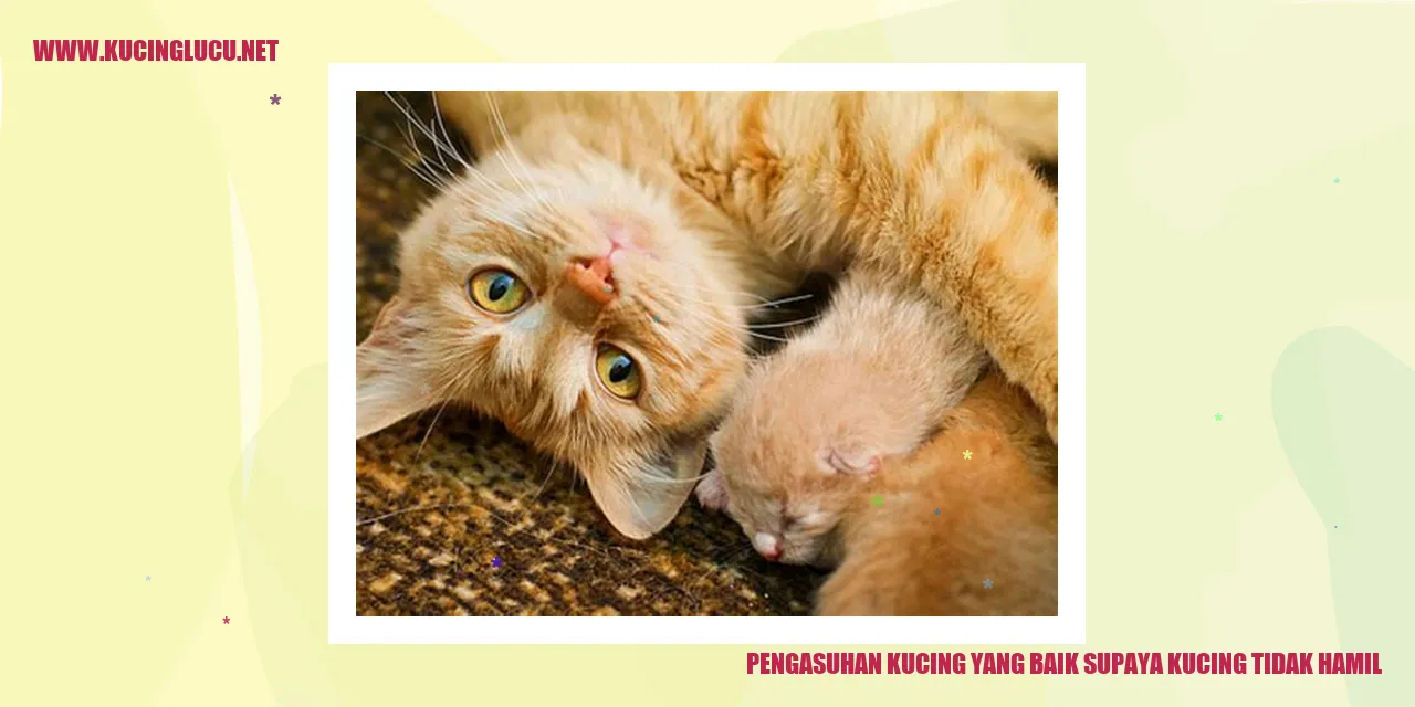 Kucing yang Menggemaskan
