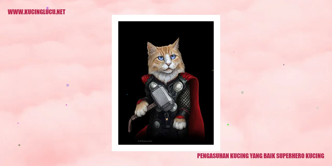 Gambar Kucing Superhero