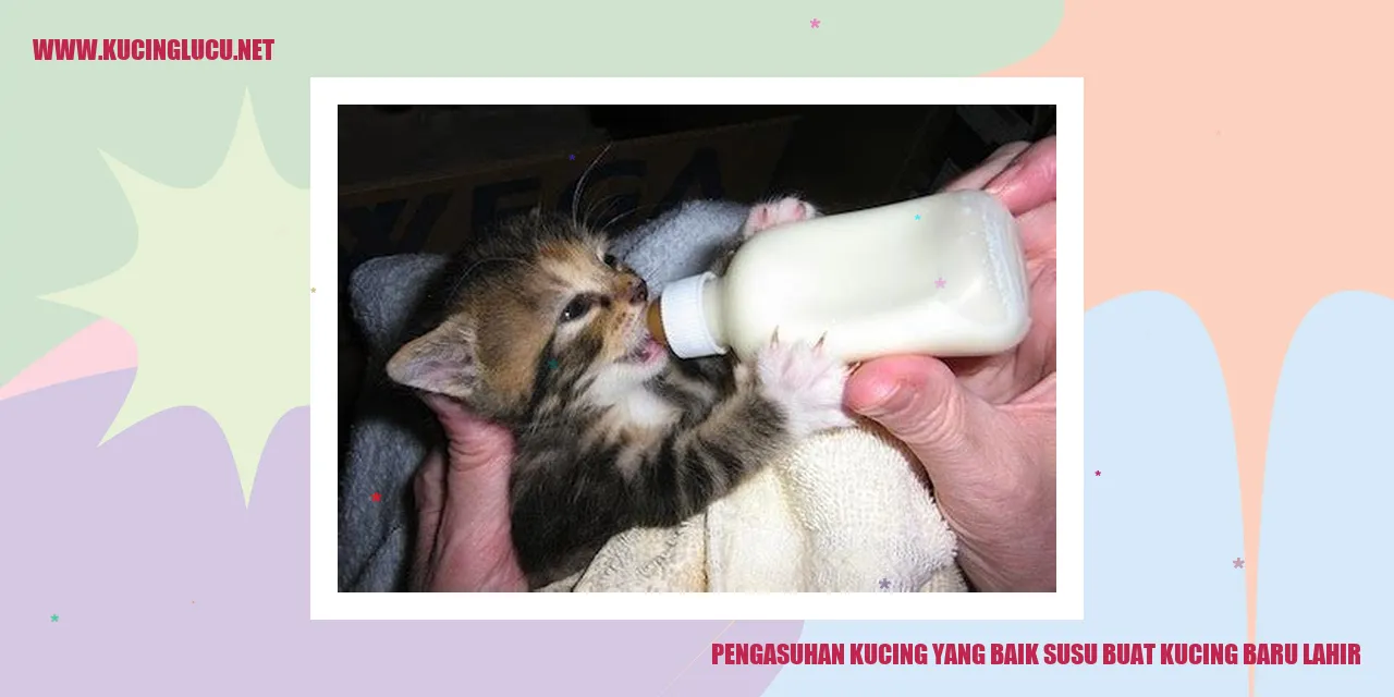 Gambar Kucing Baru Lahir