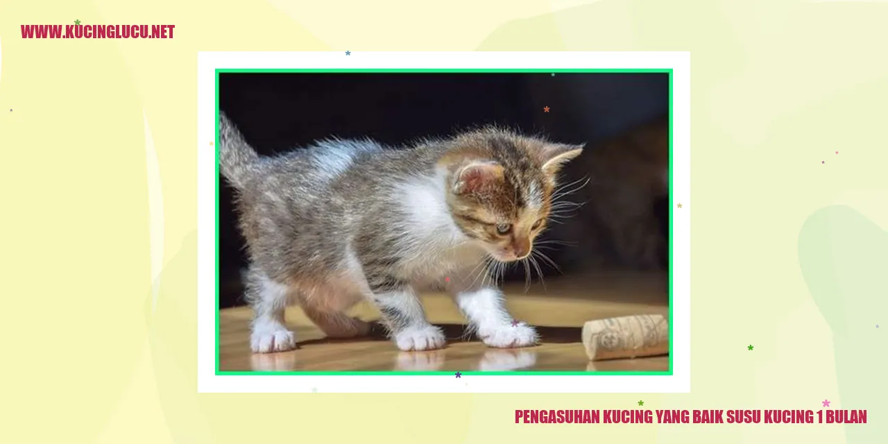 Gambar Kucing yang Sehat