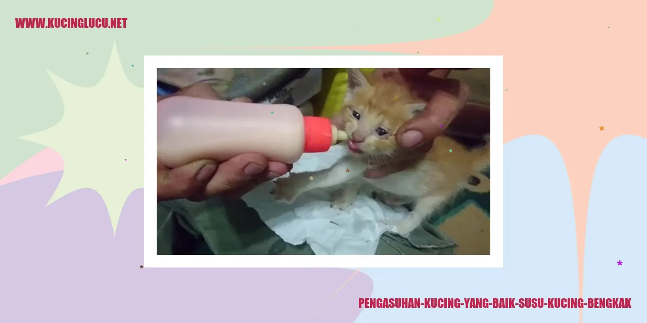 Gambar Kucing