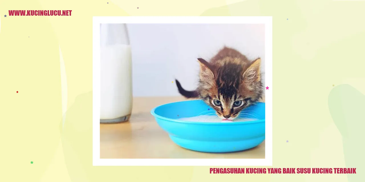 Gambar kucing