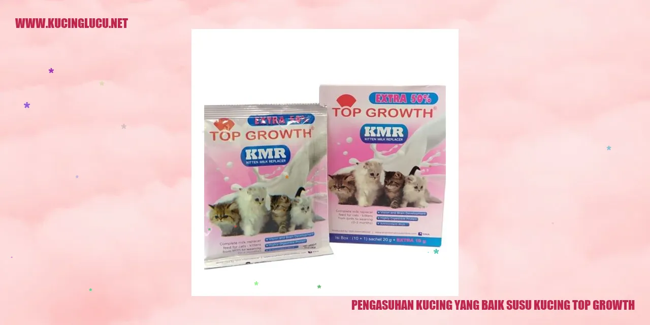 Kucing yang Sehat dan Bahagia