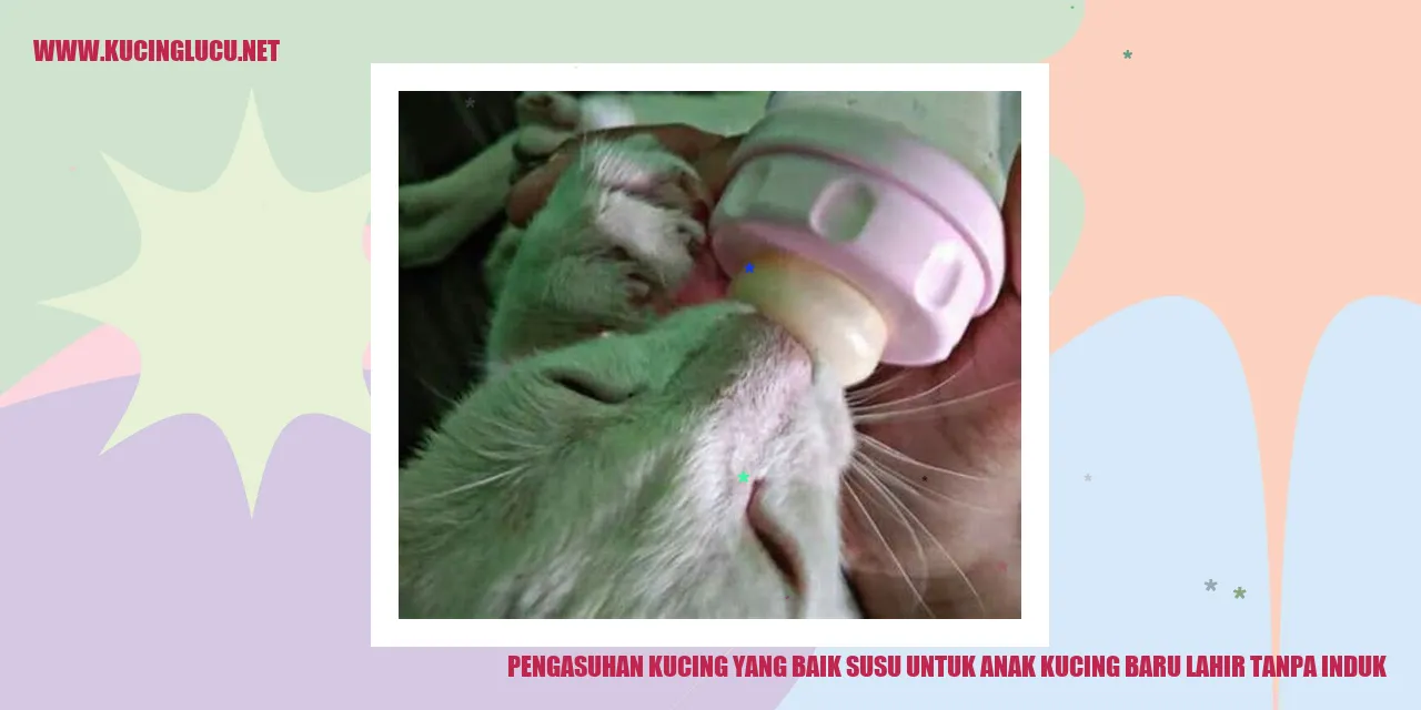 Gambar kucing merah kecil yang baru lahir
