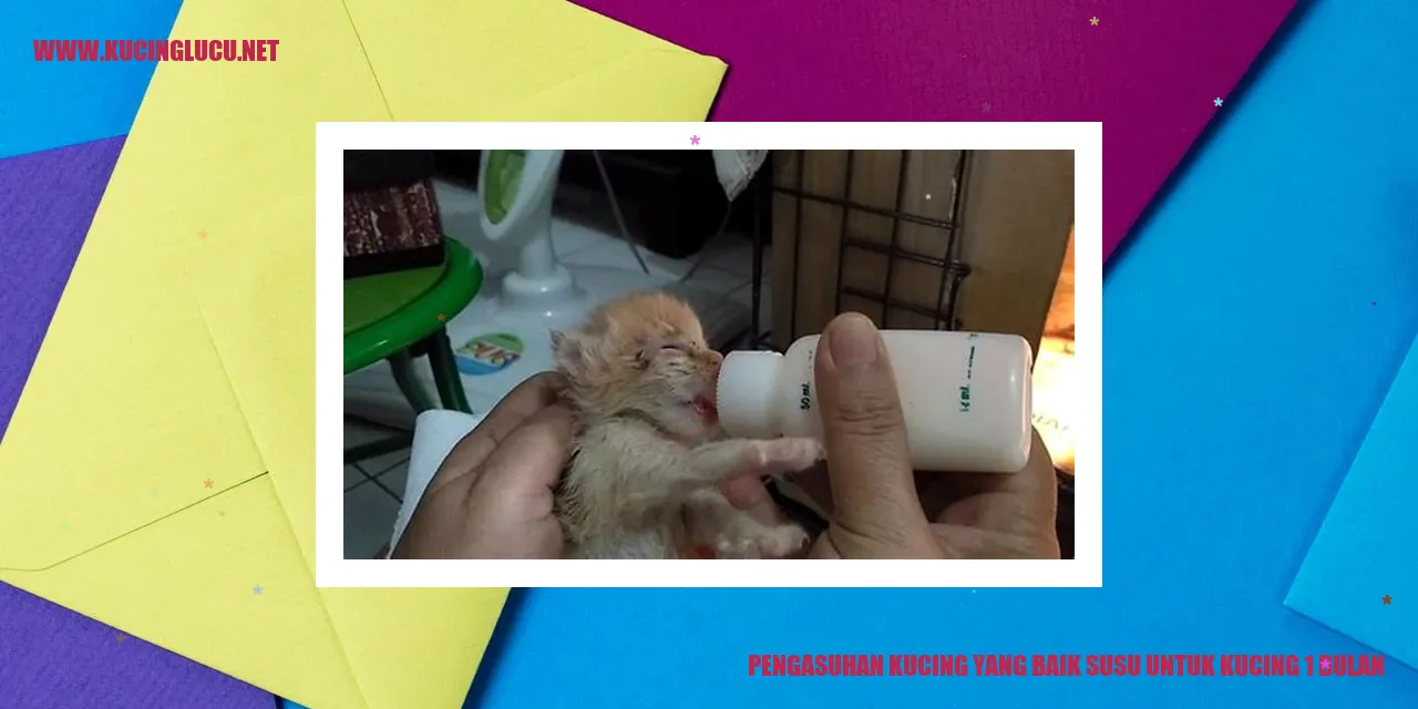 Susu untuk Kucing 1 Bulan