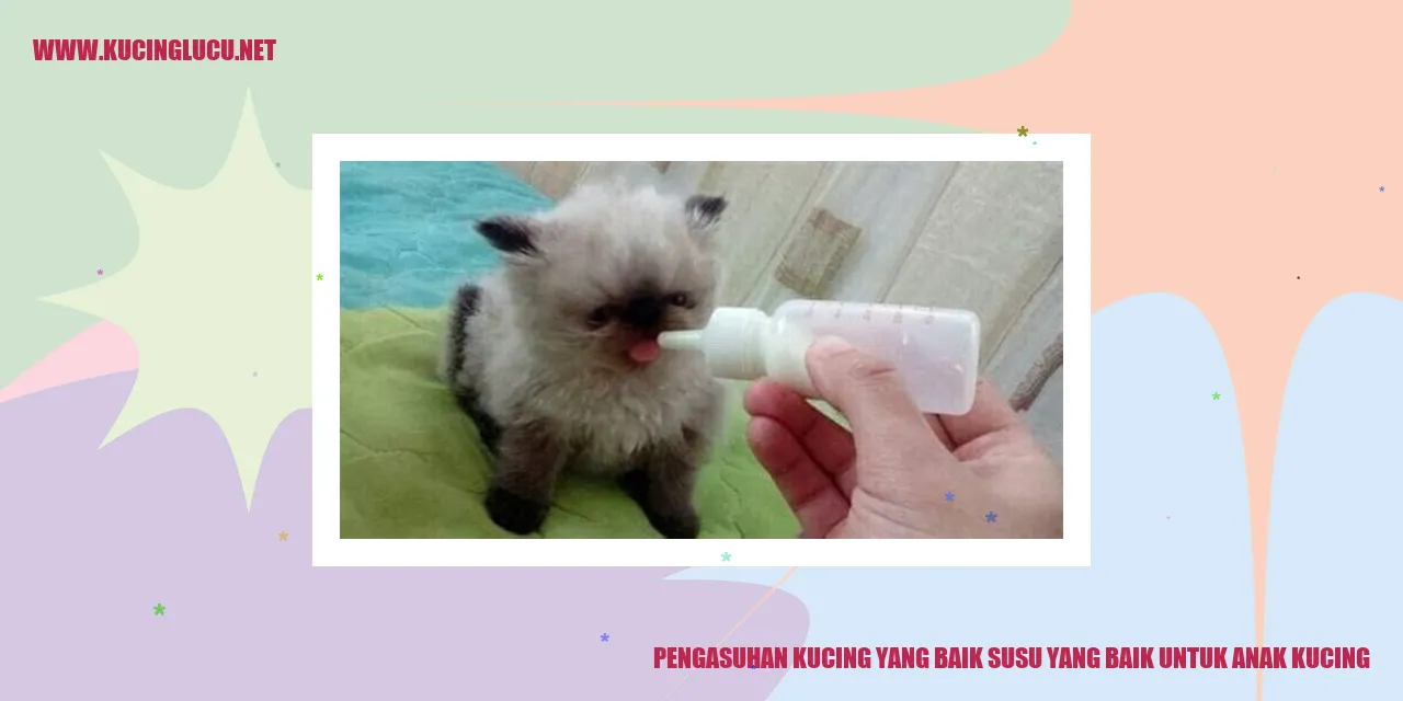 Gambar Kucing Lucu