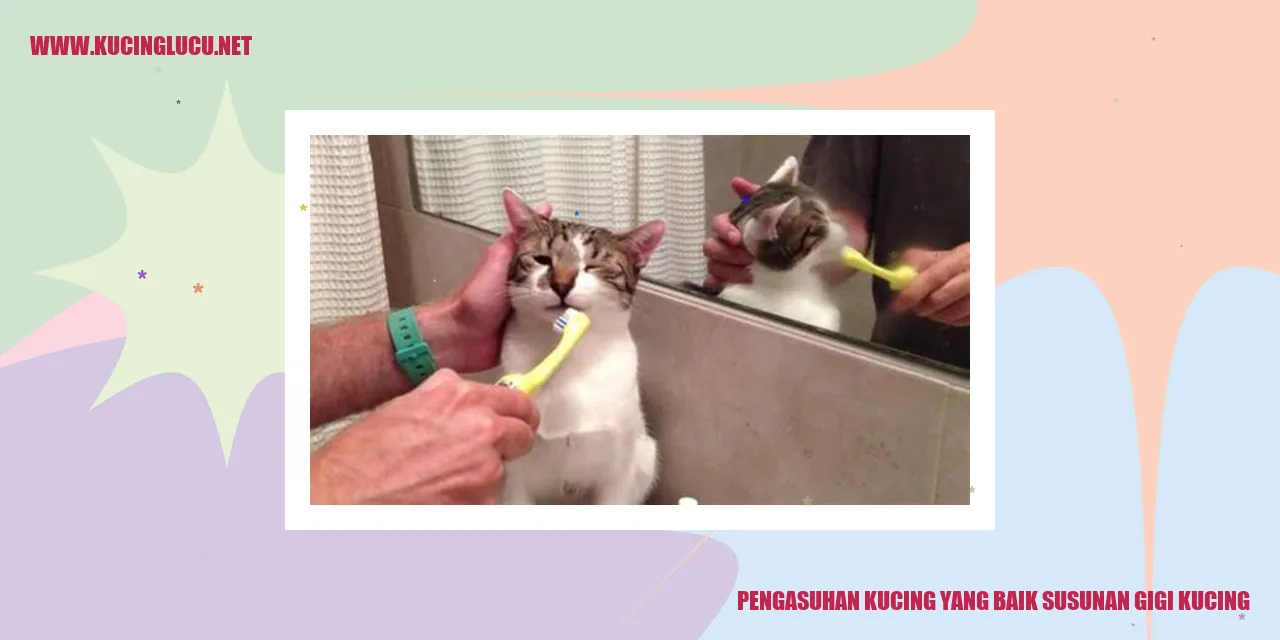 Gambar kucing dengan susunan gigi yang optimal