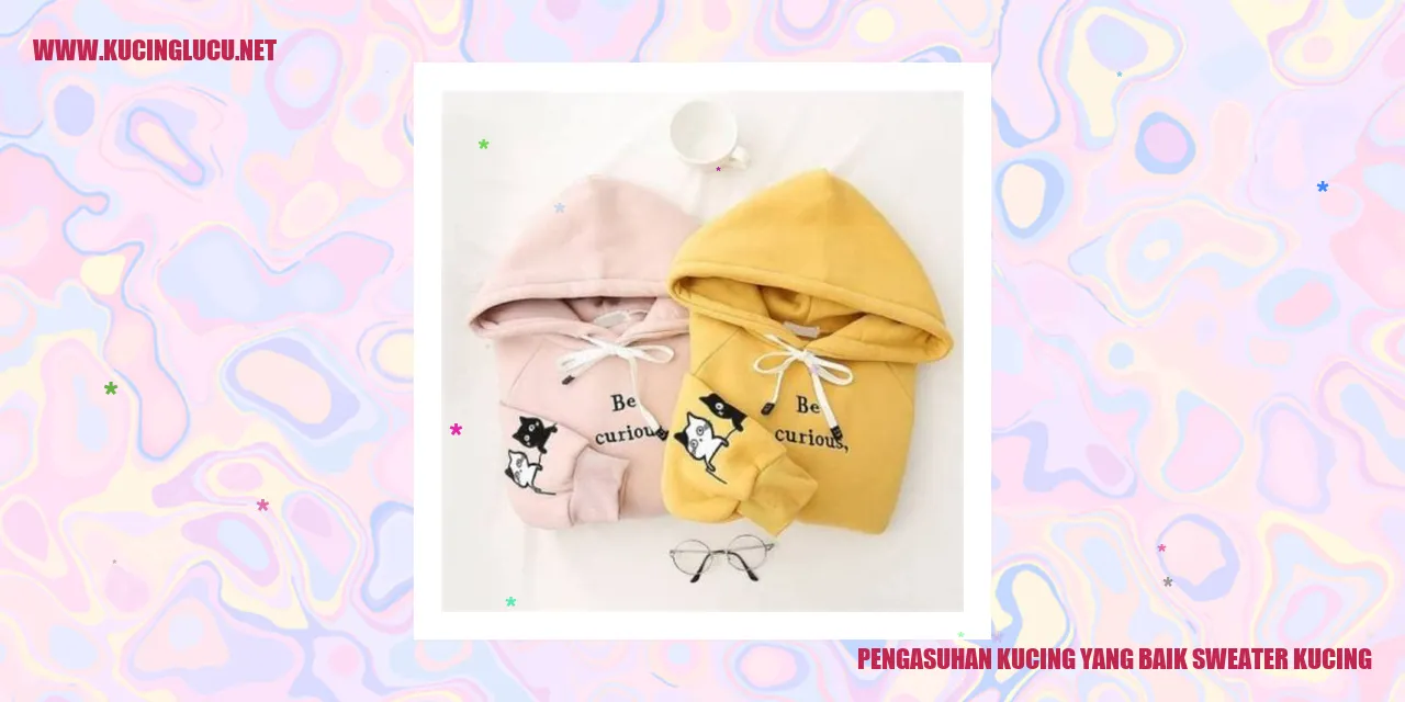 Sebuah kucing yang mengenakan sweater