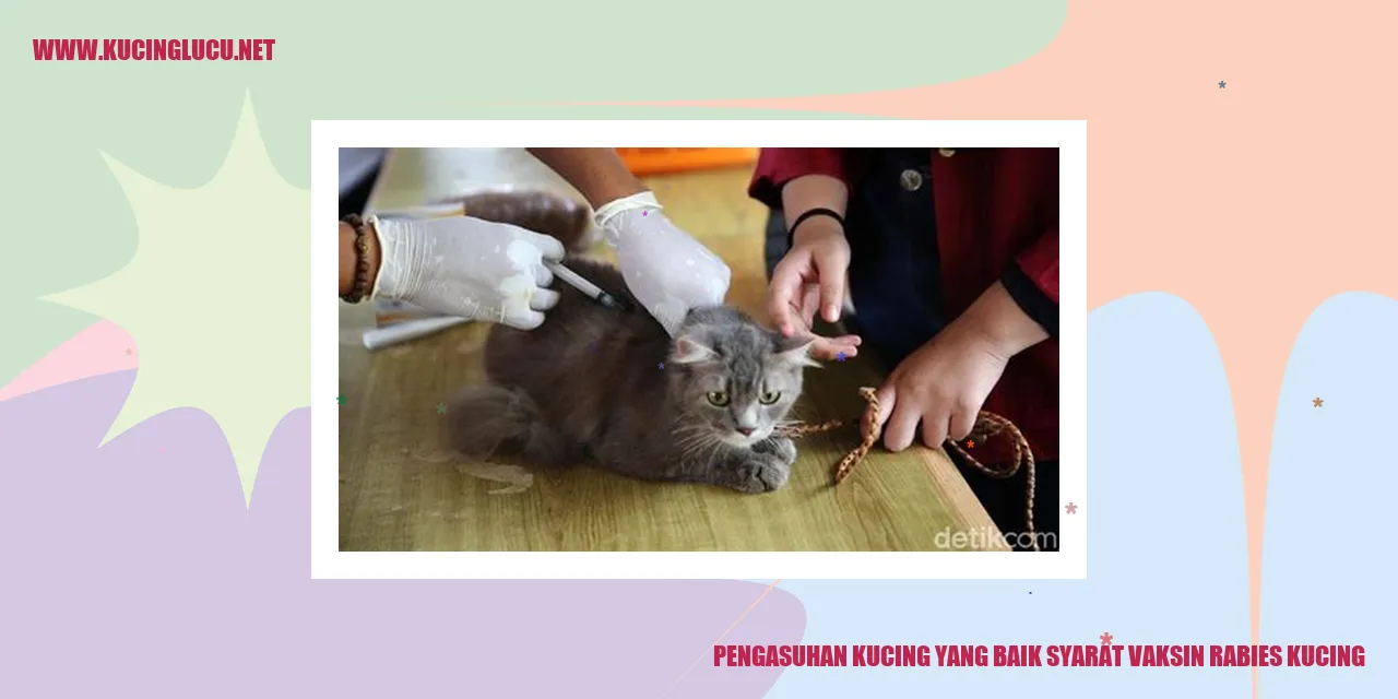 Gambar Kucing