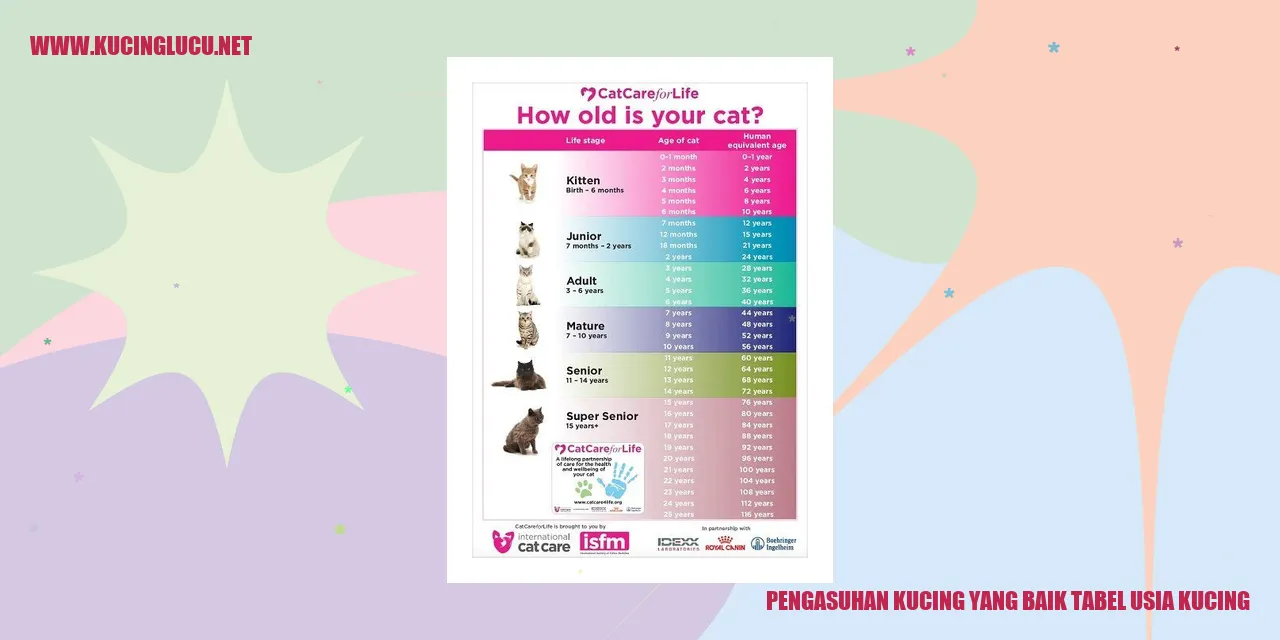 Tabel Usia Kucing