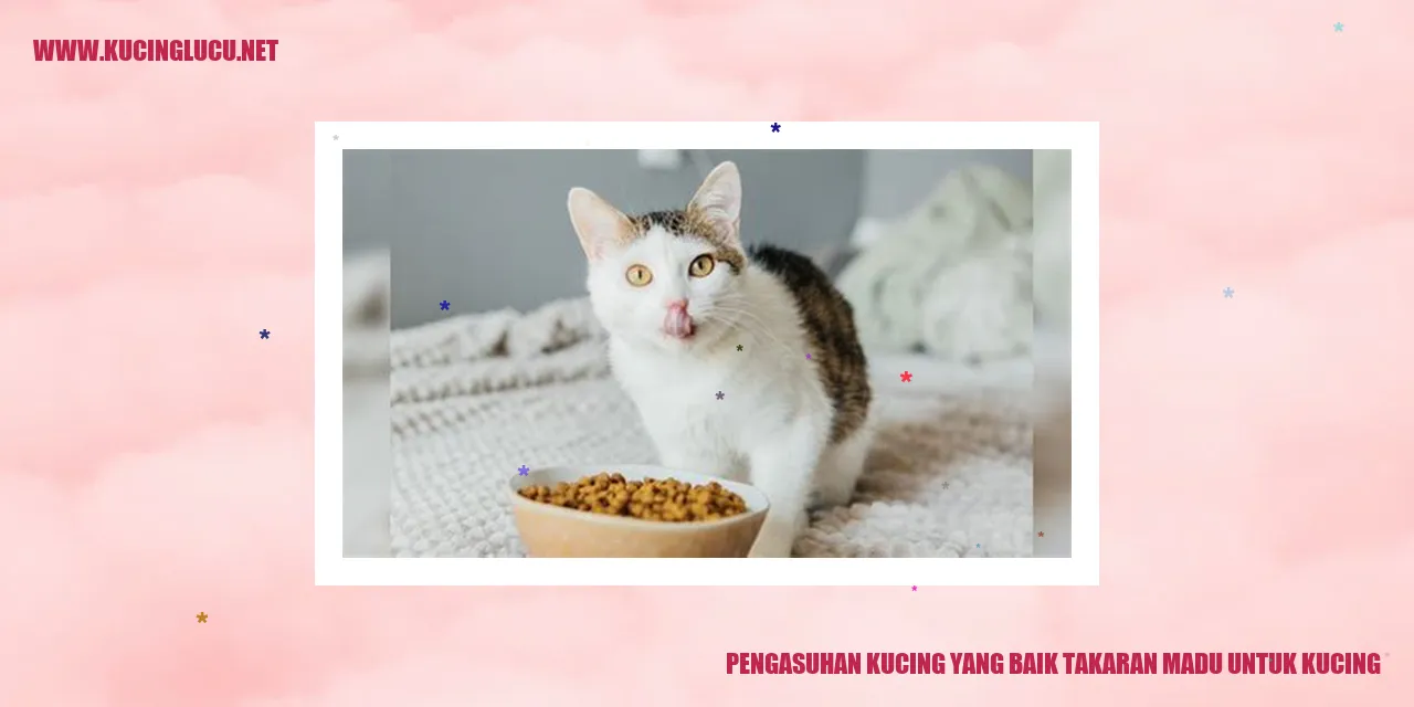 Pengasuhan Kucing yang Baik takaran madu untuk kucing