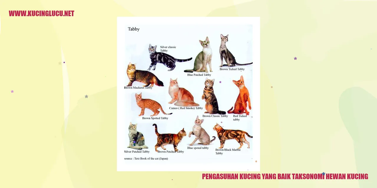 Gambar kucing menggemaskan