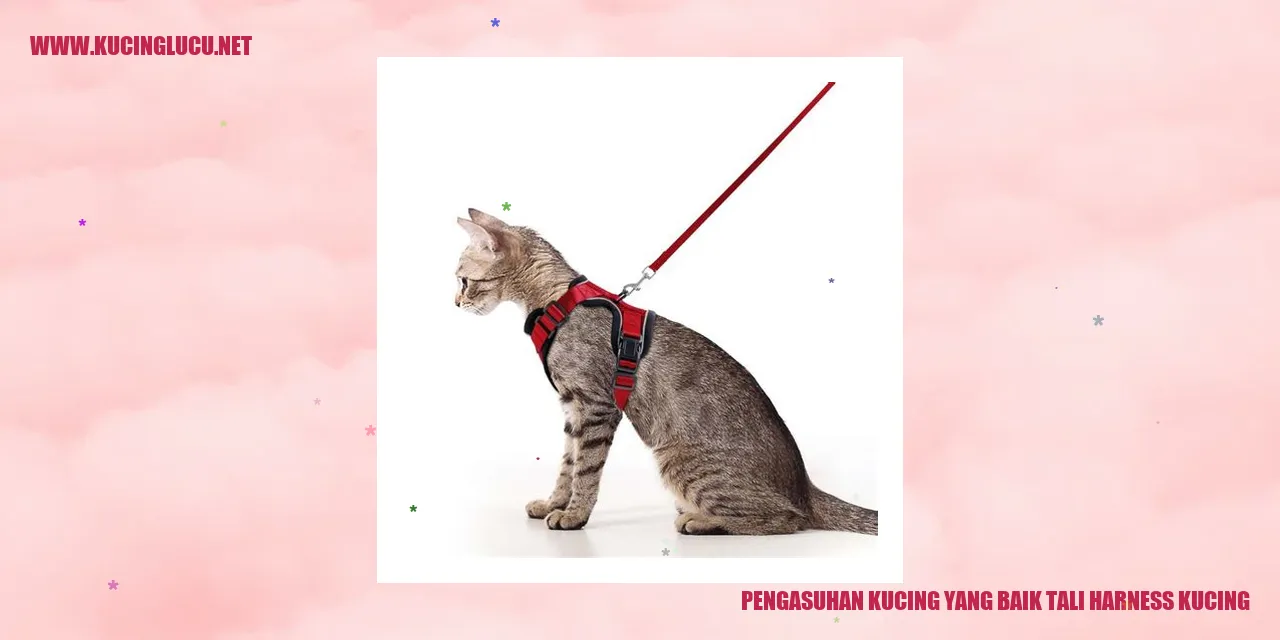 Kucing Menggunakan Tali Harness