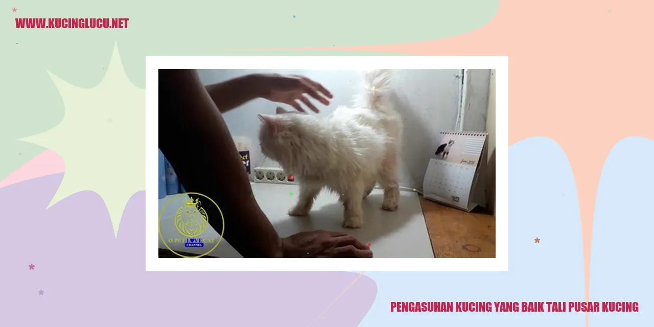 Gambar Kucing Tali Pusar