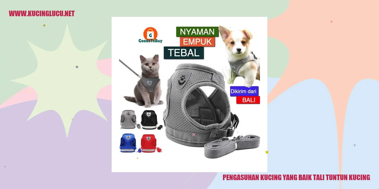Gambar yang menunjukkan betapa pentingnya menggunakan tali tuntun dalam mengasuh kucing