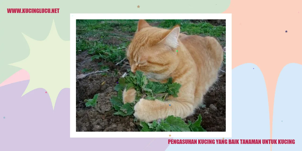 Gambar kucing berdampingan dengan tanaman