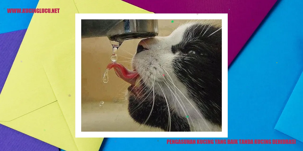 gambar kucing sehat