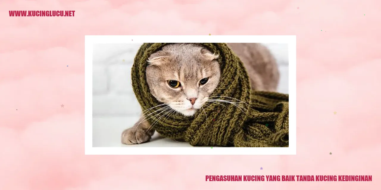 Kucing kedinginan