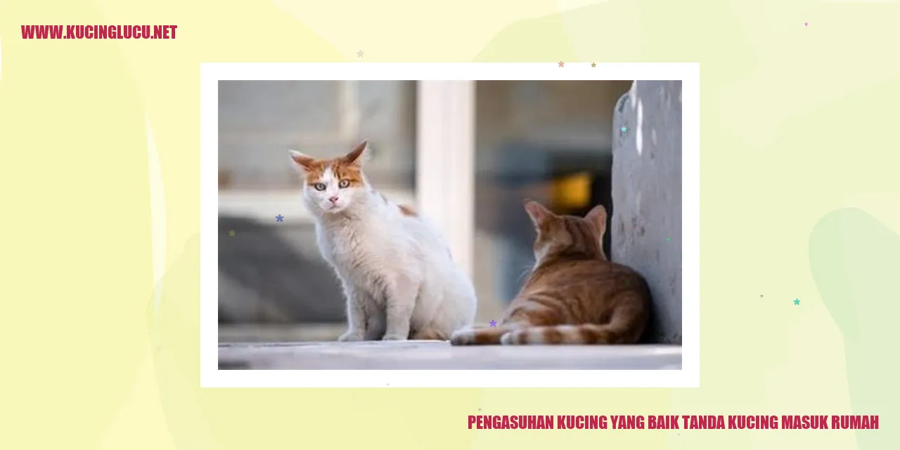 Kucing Masuk Rumah