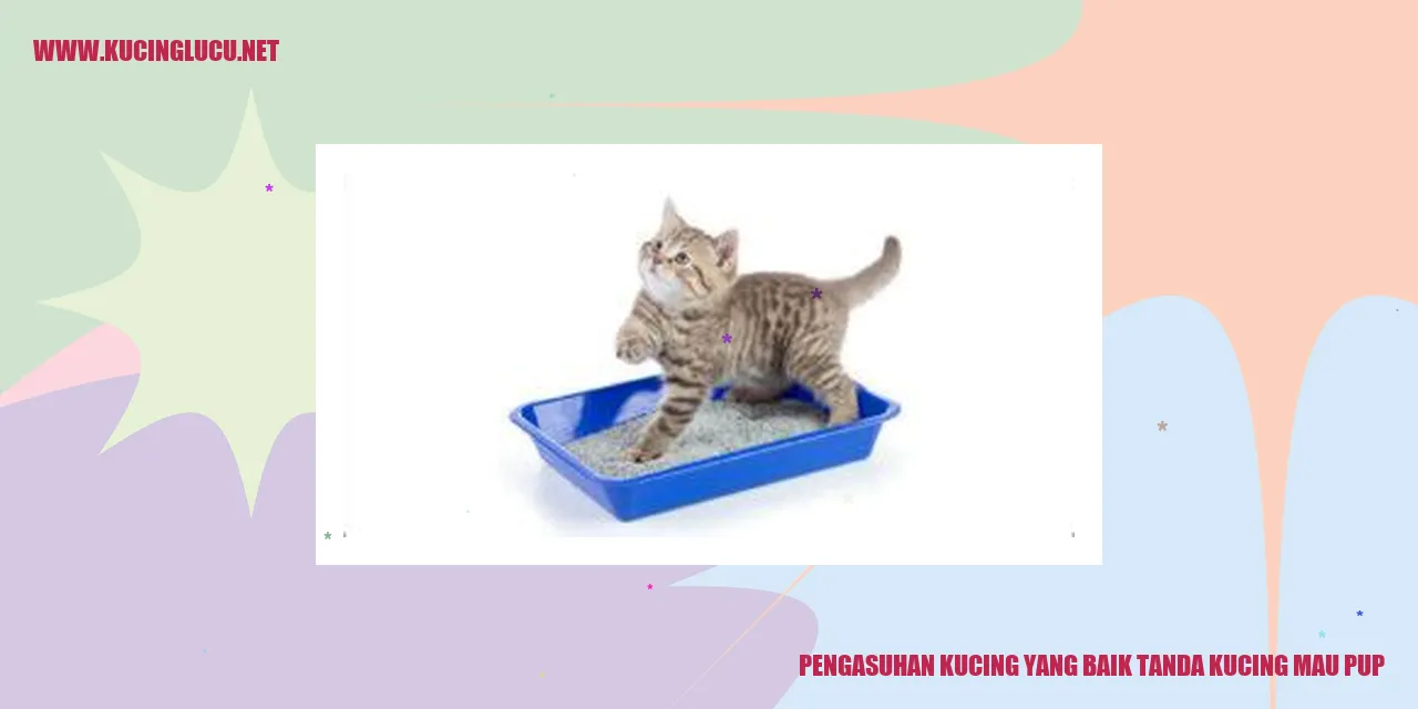 Kucing yang akan Buang Air Besar