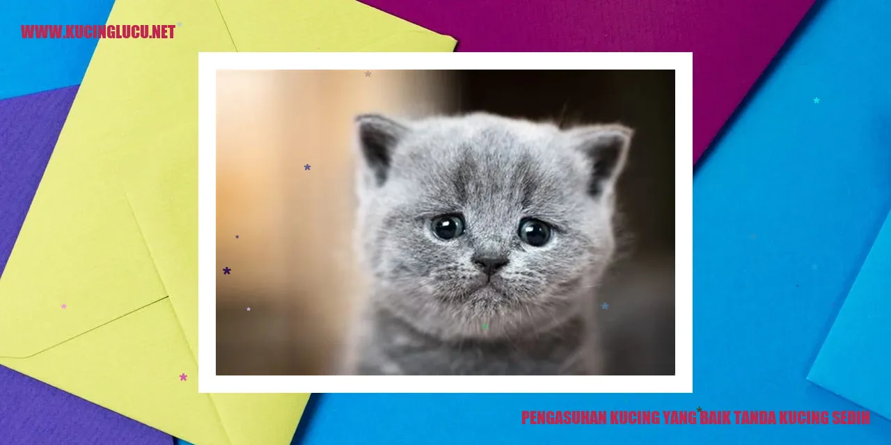 Gambar Kucing Mengantuk