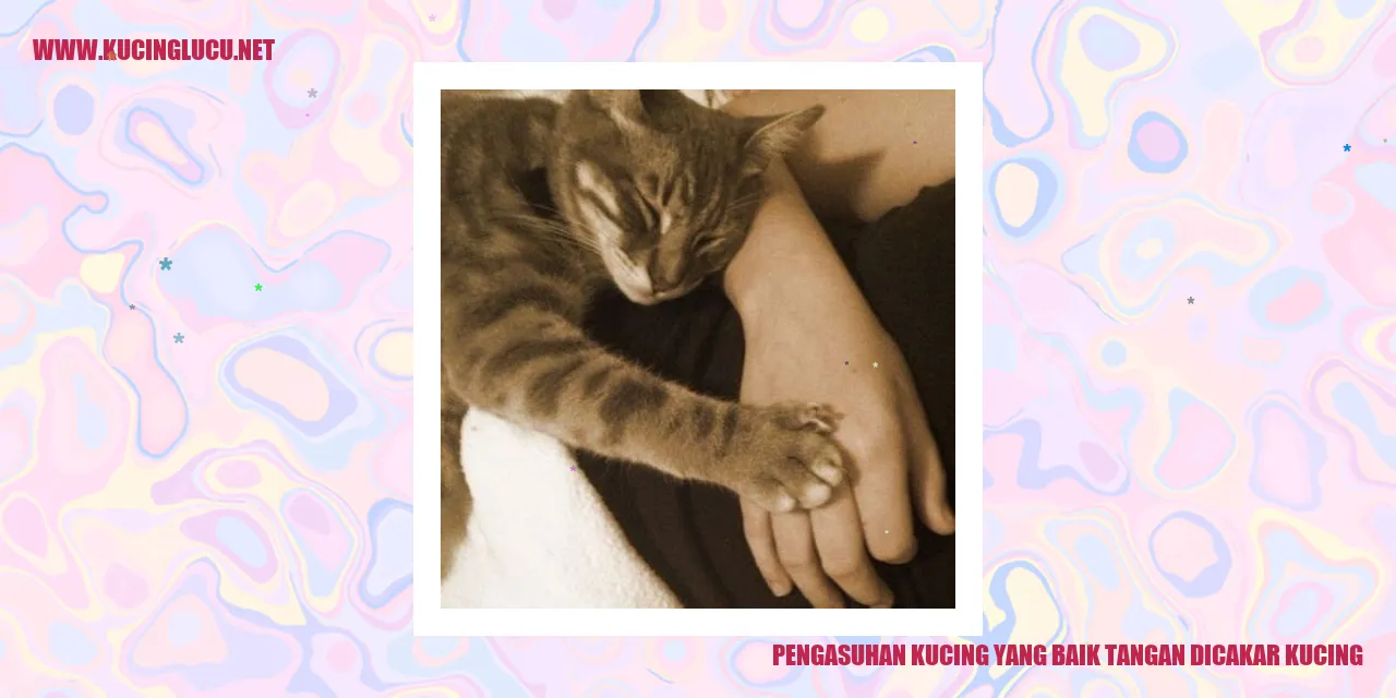 Kucing yang Menggemaskan